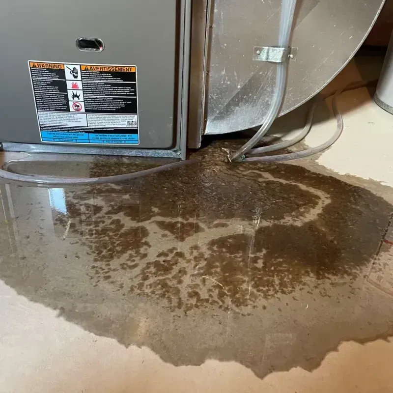 Appliance Leak Cleanup in Waynesville, NC